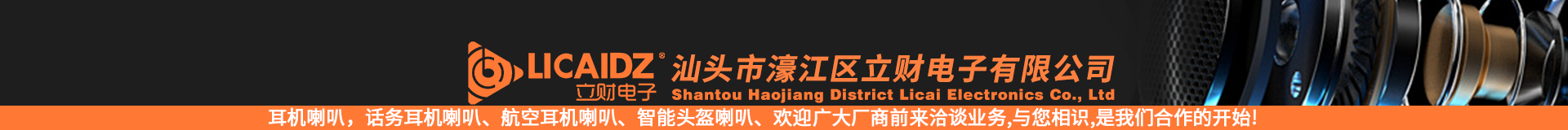汕頭市濠江區立財電子有限公司